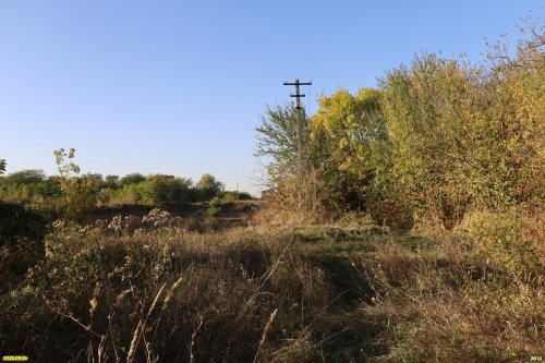 Перспективная ООПТ Брюховецкий лесопарк